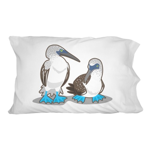 Pair blue footed boobies - pair, of